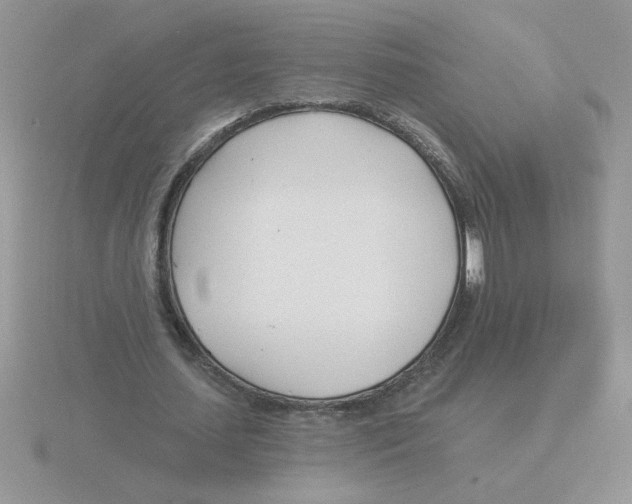 X0000115830627200912111313