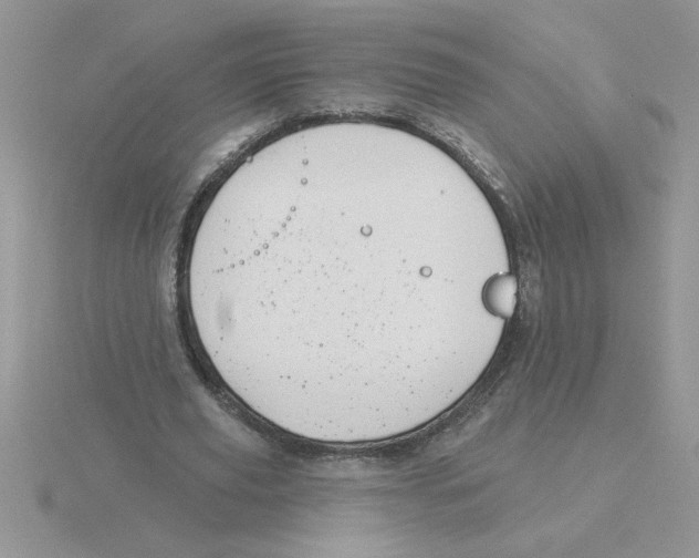 X0000115830629200912111313