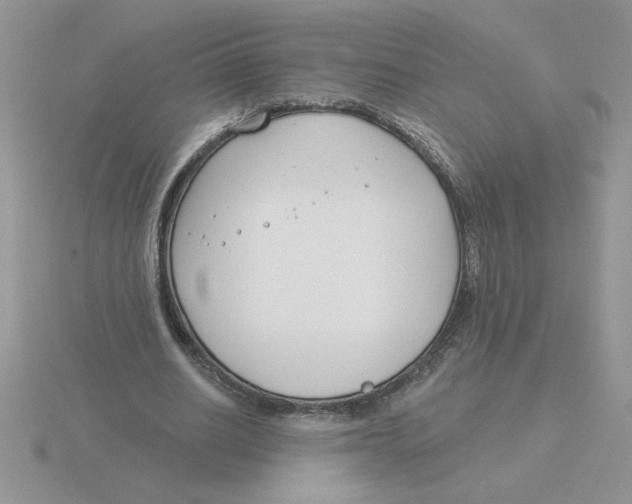 X0000115830630200912111313