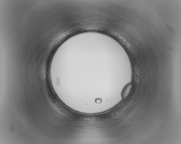 X0000115830631200912111313