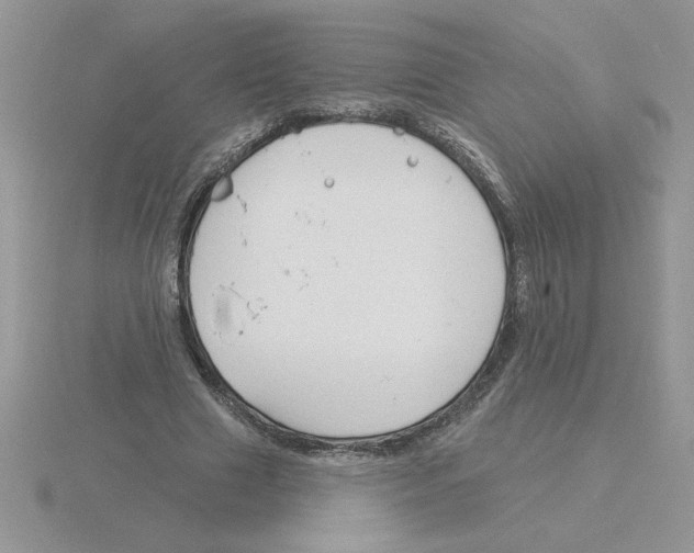 X0000115830633200912111313