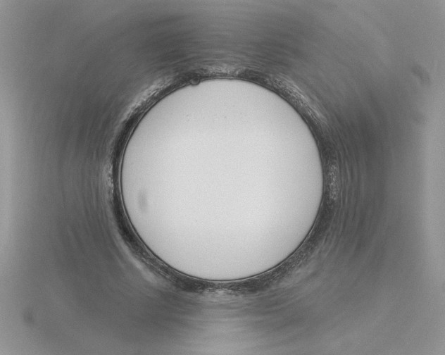 X0000115830634200912111313