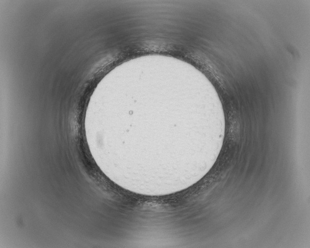 X0000115830635200912111313