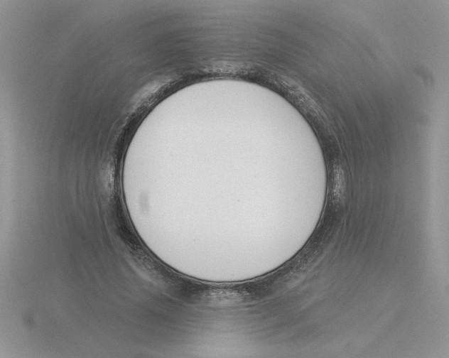 X0000115830636200912111313