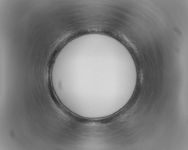 X0000115830637200912111313