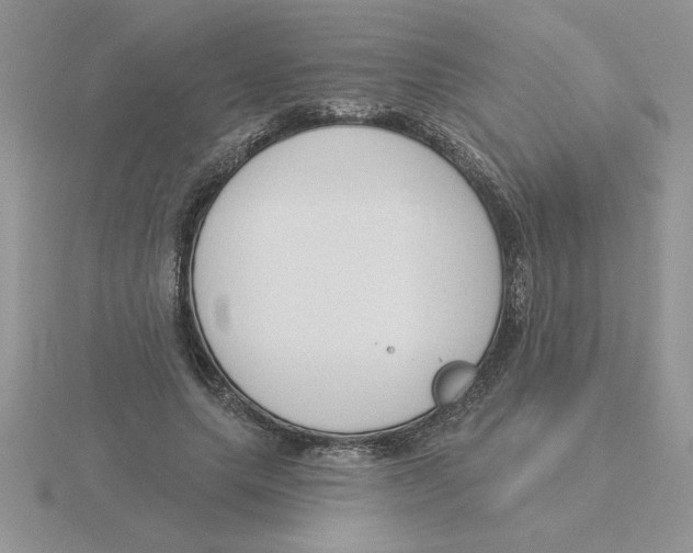 X0000115830639200912111313