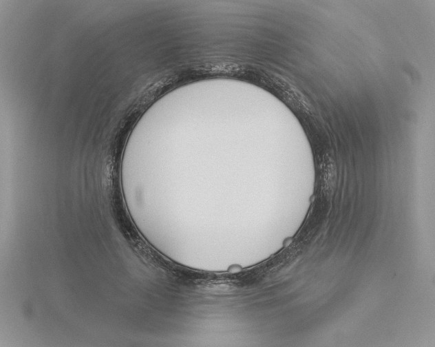 X0000115830643200912111313