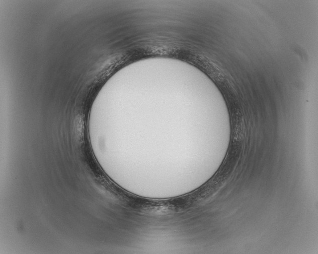 X0000115830646200912111313