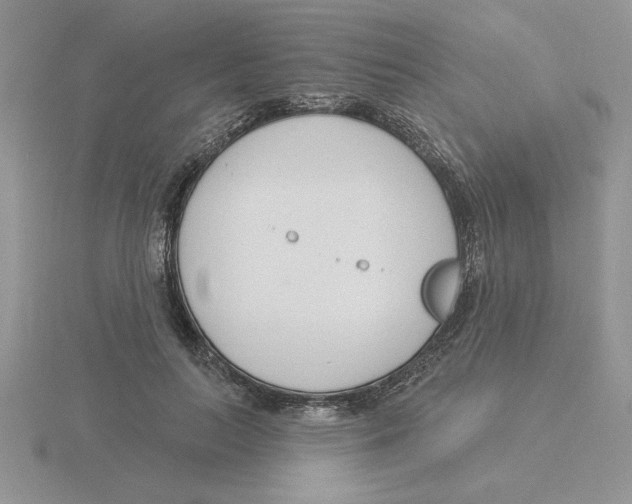 X0000115830647200912111313