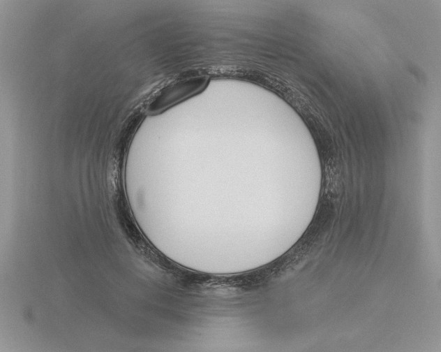 X0000115830648200912111313