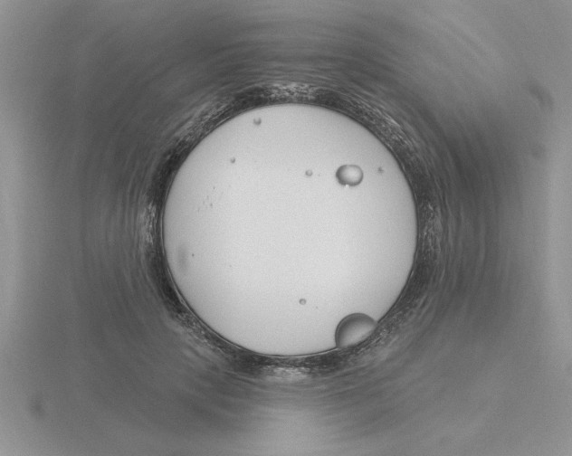 X0000115830649200912111313