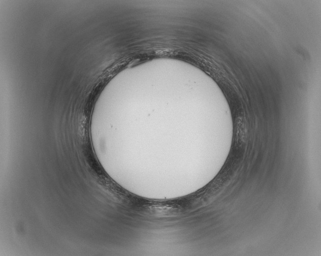 X0000115830650200912111313