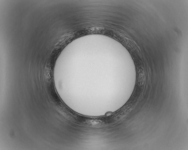 X0000115830654200912111313