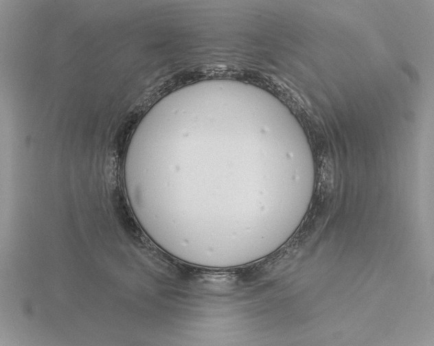 X0000115830659200912111313