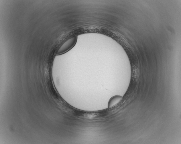 X0000115830662200912111313