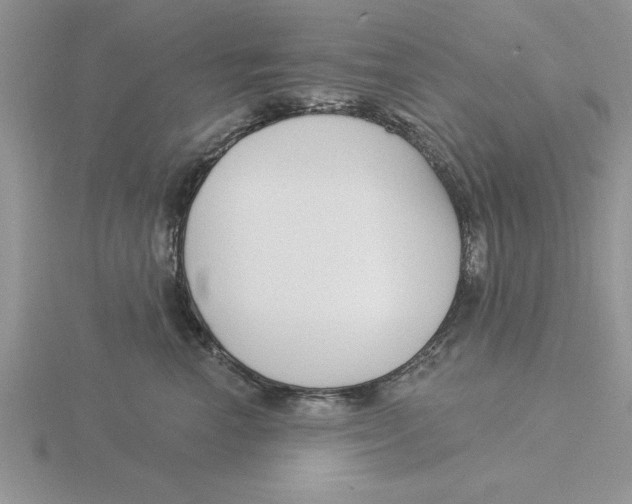 X0000115830666200912111313