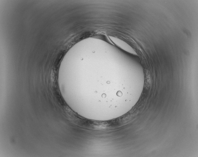 X0000115830667200912111313