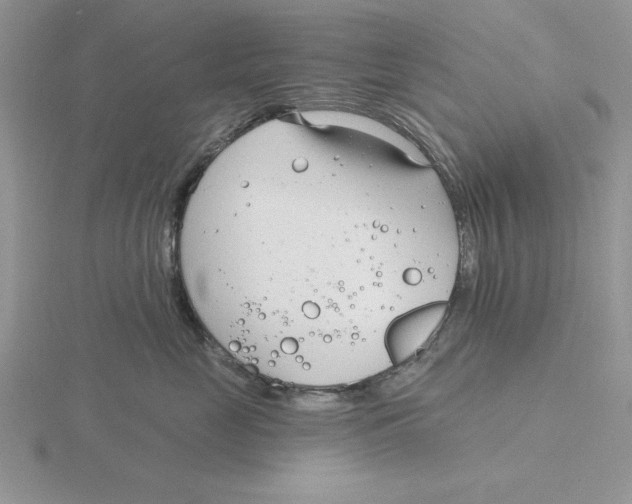 X0000115830669200912111313