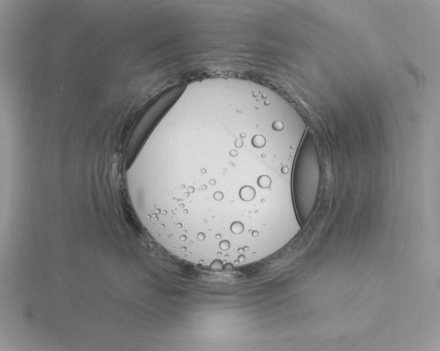 X0000115830671200912111313