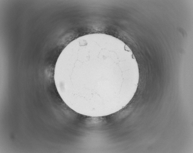 X0000115830672200912111314