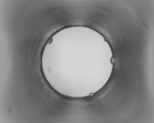 X0000115830673200912111313