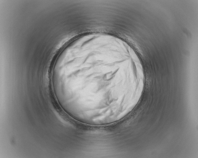 X0000115830674200912111313