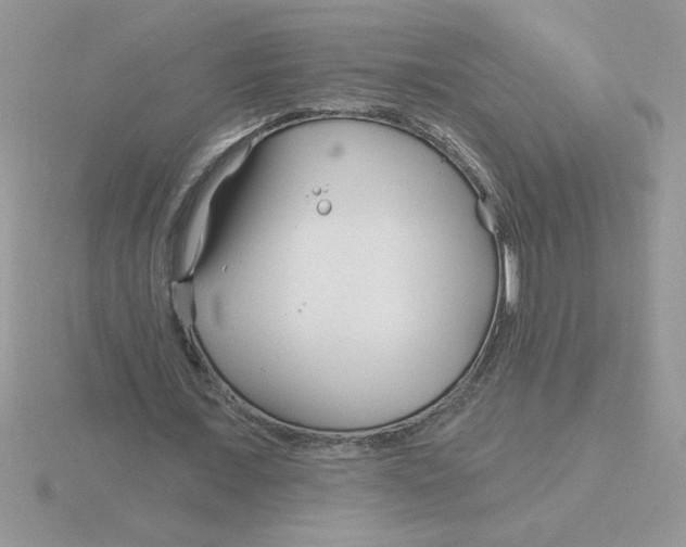 X0000115830675200912111313