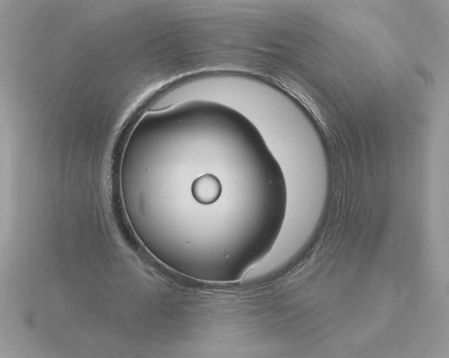 X0000115830676200912111313