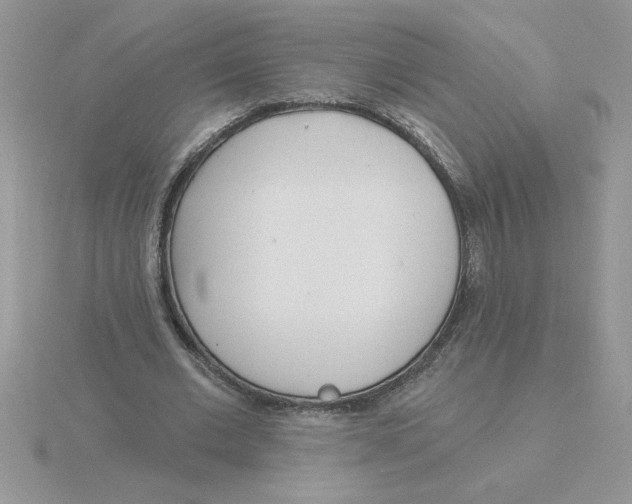 X0000115830677200912111313