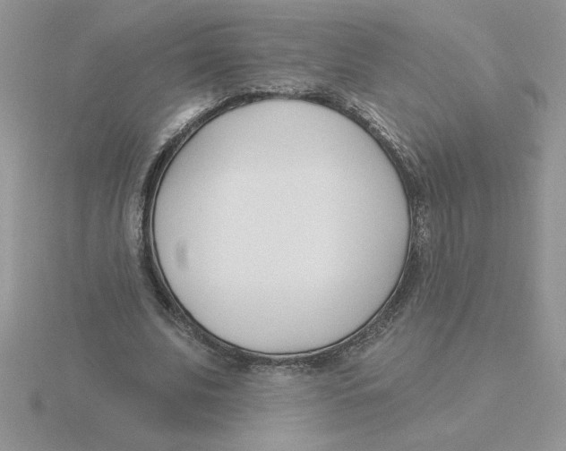 X0000115830679200912111313