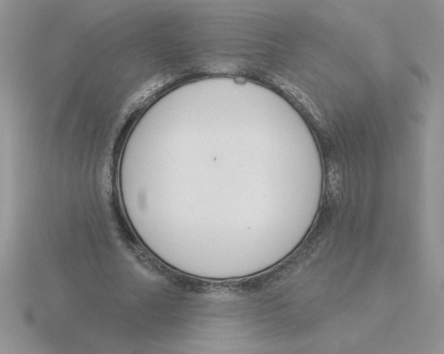 X0000115830682200912111313