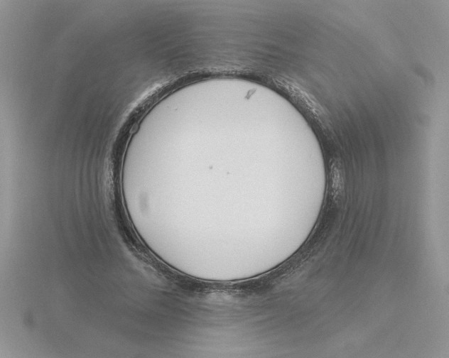 X0000115830684200912111313