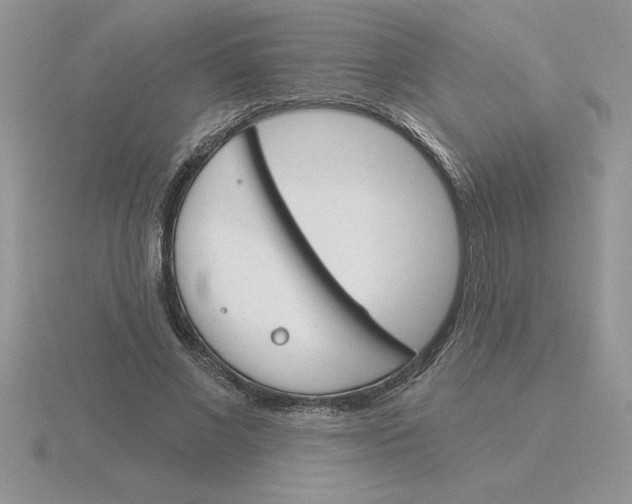 X0000115830685200912111313