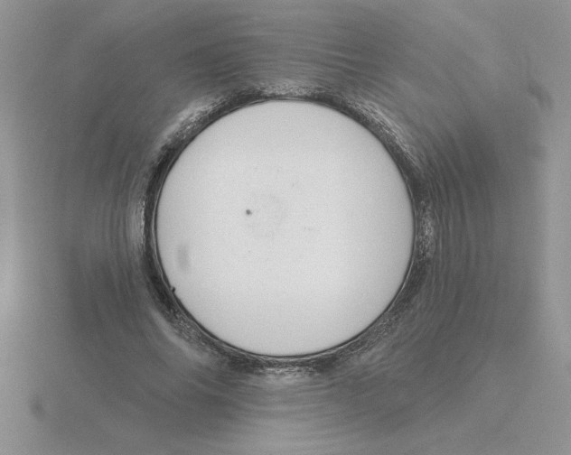 X0000115830686200912111313