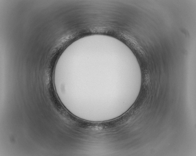 X0000115830687200912111313