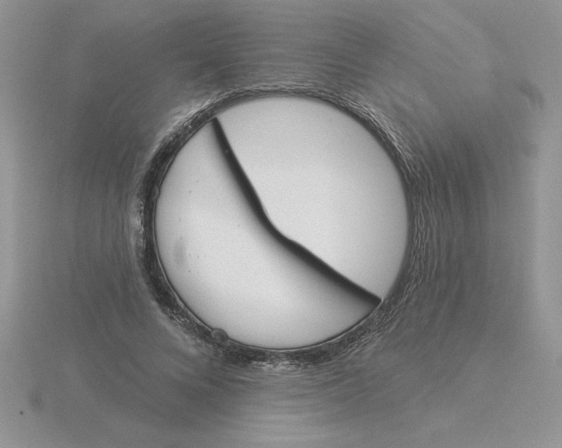 X0000115830688200912111313