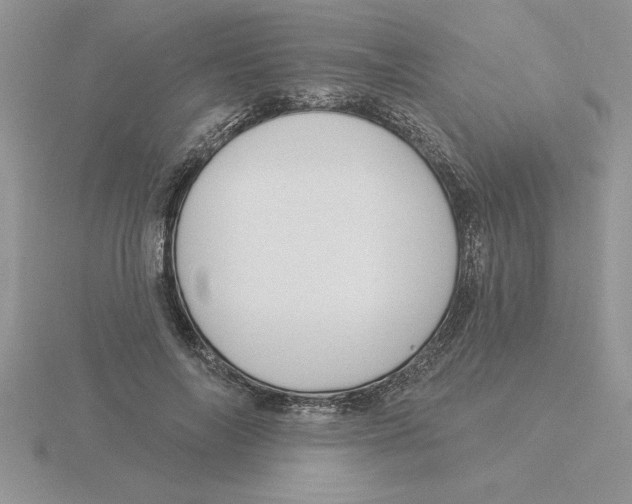 X0000115830694200912111313