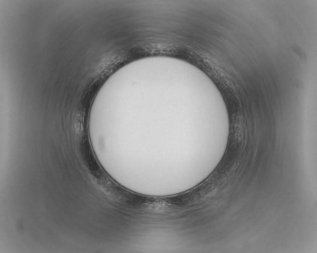 X0000115830695200912111313