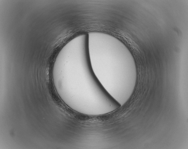 X0000115830696200912111313