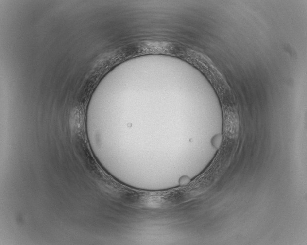 X0000115830701200912111313