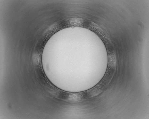 X0000115830705200912111312