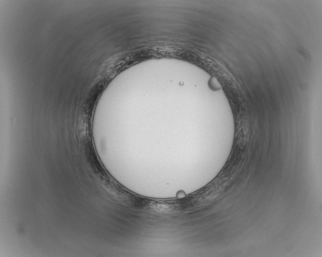 X0000115830706200912111312