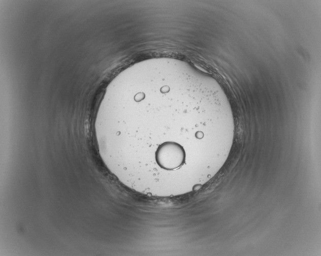 X0000115830715200912111312