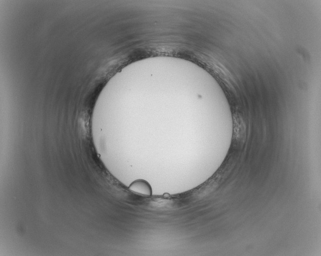 X0000115830718200912111312