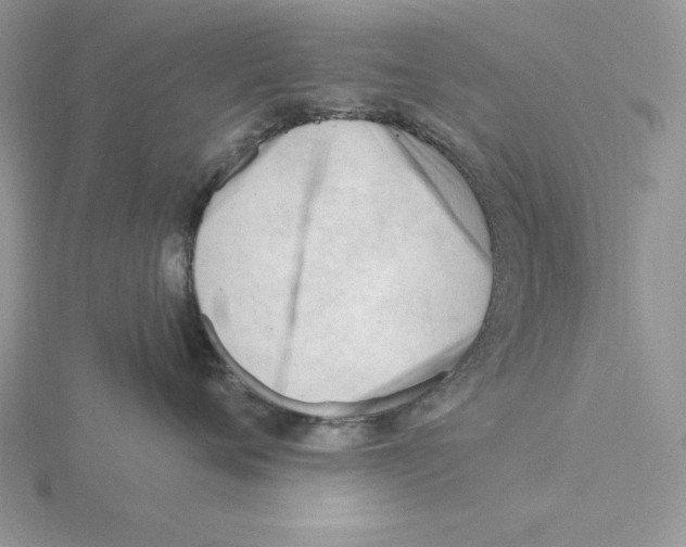 X0000115830720200912111312