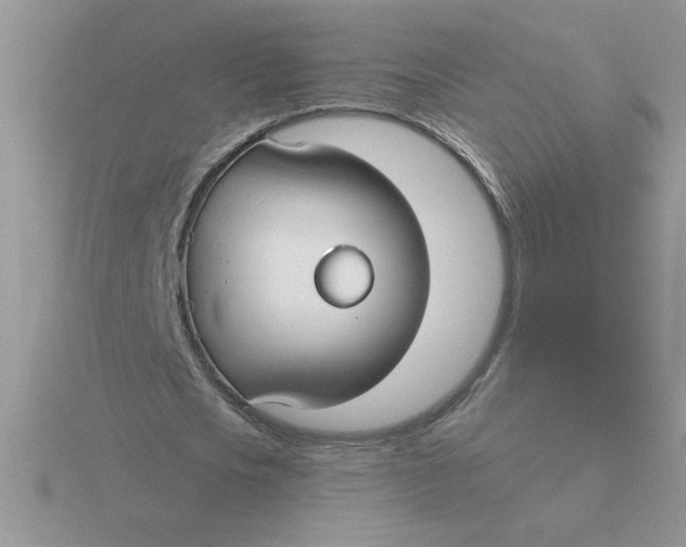 X0000115830721200912111312