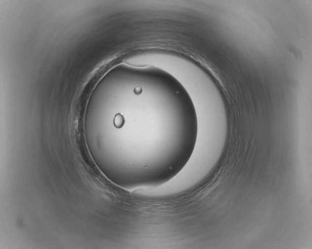 X0000115830723200912111312