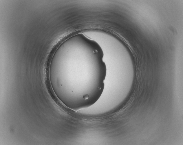 X0000115830725200912111312