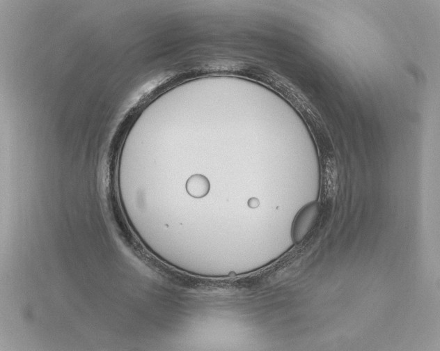 X0000115830726200912111312