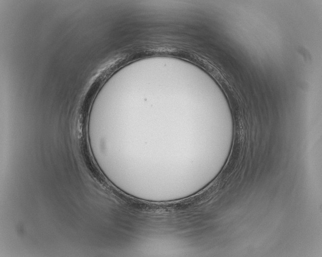 X0000115830731200912111312